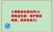 小黄瓶益生菌功效(小黄瓶益生菌：维护肠道健康，提高免疫力)