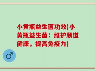 小黄瓶益生菌功效(小黄瓶益生菌：维护肠道健康，提高免疫力)