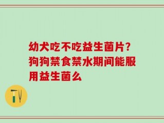 幼犬吃不吃益生菌片？狗狗禁食禁水期间能服用益生菌么