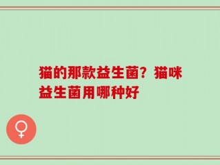 猫的那款益生菌？猫咪益生菌用哪种好