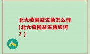 北大燕园益生菌怎么样(北大燕园益生菌如何？)