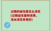 过期的益生菌怎么浇花(过期益生菌别浪费，泡水浇花养更好)