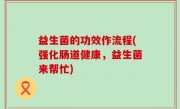 益生菌的功效作流程(强化肠道健康，益生菌来帮忙)