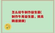 怎么给牛制作益生菌(制作牛用益生菌，提高肠道健康)