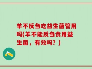 羊不反刍吃益生菌管用吗(羊不能反刍食用益生菌，有效吗？)