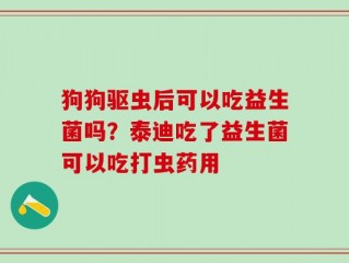 狗狗驱虫后可以吃益生菌吗？泰迪吃了益生菌可以吃打虫药用