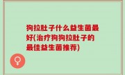 狗拉肚子什么益生菌最好(治疗狗狗拉肚子的最佳益生菌推荐)