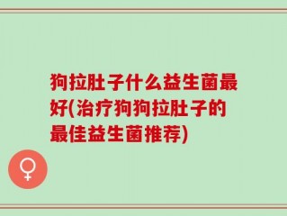 狗拉肚子什么益生菌最好(治疗狗狗拉肚子的最佳益生菌推荐)
