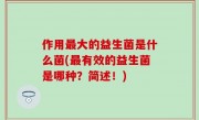 作用最大的益生菌是什么菌(最有效的益生菌是哪种？简述！)