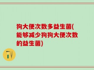 狗大便次数多益生菌(能够减少狗狗大便次数的益生菌)