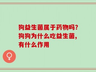 狗益生菌属于药物吗？狗狗为什么吃益生菌,有什么作用