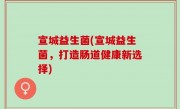 宣城益生菌(宣城益生菌，打造肠道健康新选择)