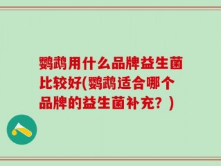 鹦鹉用什么品牌益生菌比较好(鹦鹉适合哪个品牌的益生菌补充？)