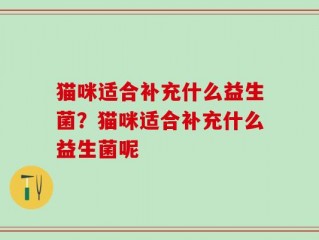 猫咪适合补充什么益生菌？猫咪适合补充什么益生菌呢