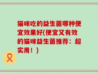 猫咪吃的益生菌哪种便宜效果好(便宜又有效的猫咪益生菌推荐：超实用！)