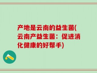 产地是云南的益生菌(云南产益生菌：促进消化健康的好帮手)