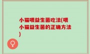 小猫喂益生菌吃法(喂小猫益生菌的正确方法)