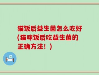 猫饭后益生菌怎么吃好(猫咪饭后吃益生菌的正确方法！)