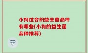小狗适合的益生菌品种有哪些(小狗的益生菌品种推荐)