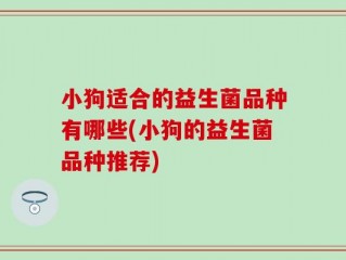 小狗适合的益生菌品种有哪些(小狗的益生菌品种推荐)