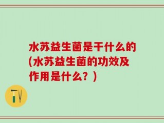 水苏益生菌是干什么的(水苏益生菌的功效及作用是什么？)