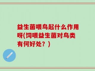 益生菌喂鸟起什么作用呀(饲喂益生菌对鸟类有何好处？)