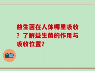 益生菌在人体哪里吸收？了解益生菌的作用与吸收位置？