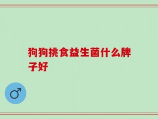 狗狗挑食益生菌什么牌子好