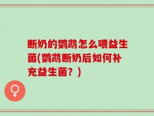 断奶的鹦鹉怎么喂益生菌(鹦鹉断奶后如何补充益生菌？)