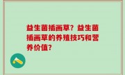 益生菌插画草？益生菌插画草的养殖技巧和营养价值？