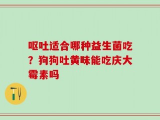 呕吐适合哪种益生菌吃？狗狗吐黄味能吃庆大霉素吗