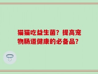 猫猫吃益生菌？提高宠物肠道健康的必备品？