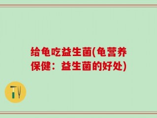 给龟吃益生菌(龟营养保健：益生菌的好处)