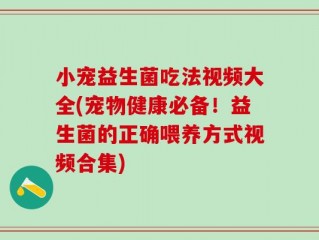小宠益生菌吃法视频大全(宠物健康必备！益生菌的正确喂养方式视频合集)