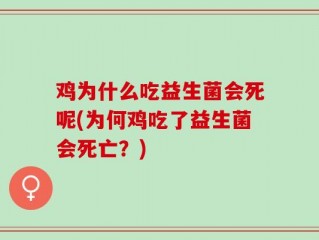 鸡为什么吃益生菌会死呢(为何鸡吃了益生菌会死亡？)