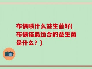 布偶喂什么益生菌好(布偶猫最适合的益生菌是什么？)