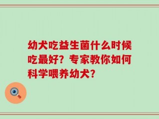 幼犬吃益生菌什么时候吃最好？专家教你如何科学喂养幼犬？