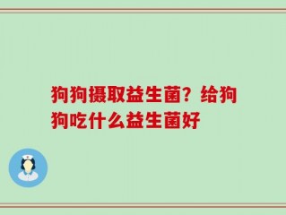 狗狗摄取益生菌？给狗狗吃什么益生菌好