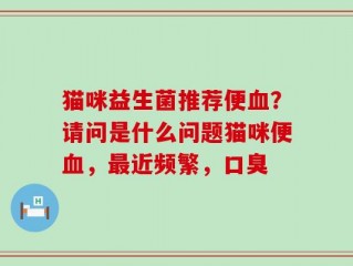 猫咪益生菌推荐便血？请问是什么问题猫咪便血，最近频繁，口臭
