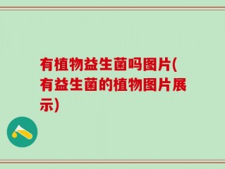有植物益生菌吗图片(有益生菌的植物图片展示)