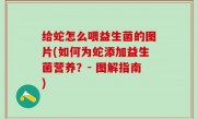 给蛇怎么喂益生菌的图片(如何为蛇添加益生菌营养？- 图解指南)