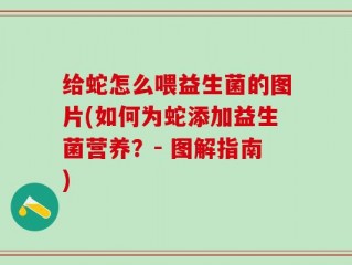 给蛇怎么喂益生菌的图片(如何为蛇添加益生菌营养？- 图解指南)
