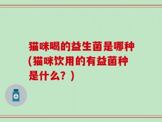 猫咪喝的益生菌是哪种(猫咪饮用的有益菌种是什么？)