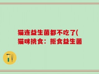 猫连益生菌都不吃了(猫咪挑食：拒食益生菌