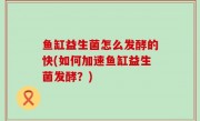 鱼缸益生菌怎么发酵的快(如何加速鱼缸益生菌发酵？)