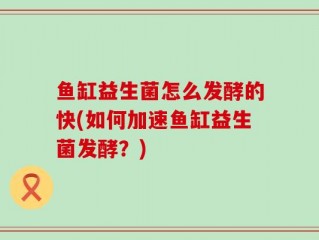 鱼缸益生菌怎么发酵的快(如何加速鱼缸益生菌发酵？)