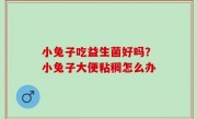 小兔子吃益生菌好吗？小兔子大便粘稠怎么办