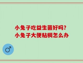 小兔子吃益生菌好吗？小兔子大便粘稠怎么办
