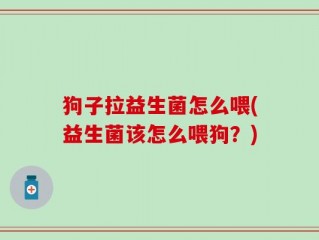 狗子拉益生菌怎么喂(益生菌该怎么喂狗？)