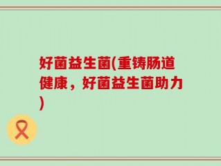 好菌益生菌(重铸肠道健康，好菌益生菌助力)